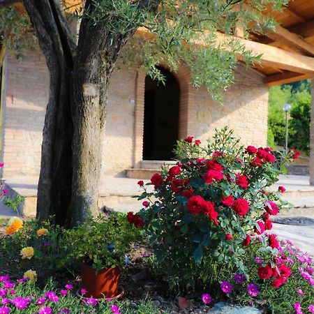 Agriturismo La Tana Città di Castello Exteriör bild