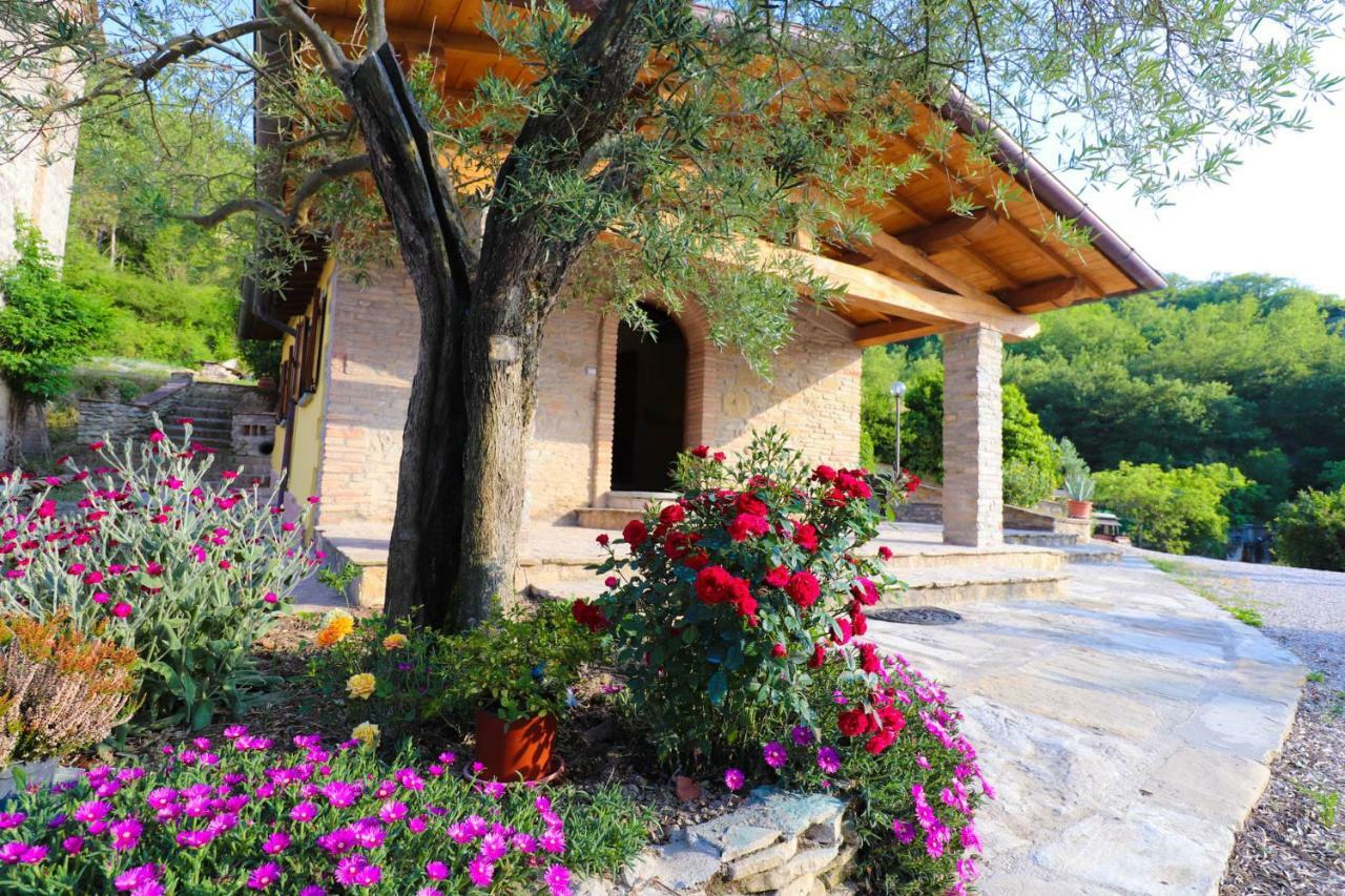 Agriturismo La Tana Città di Castello Exteriör bild